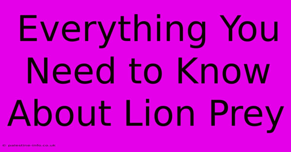 Everything You Need To Know About Lion Prey