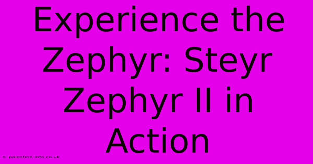 Experience The Zephyr: Steyr Zephyr II In Action