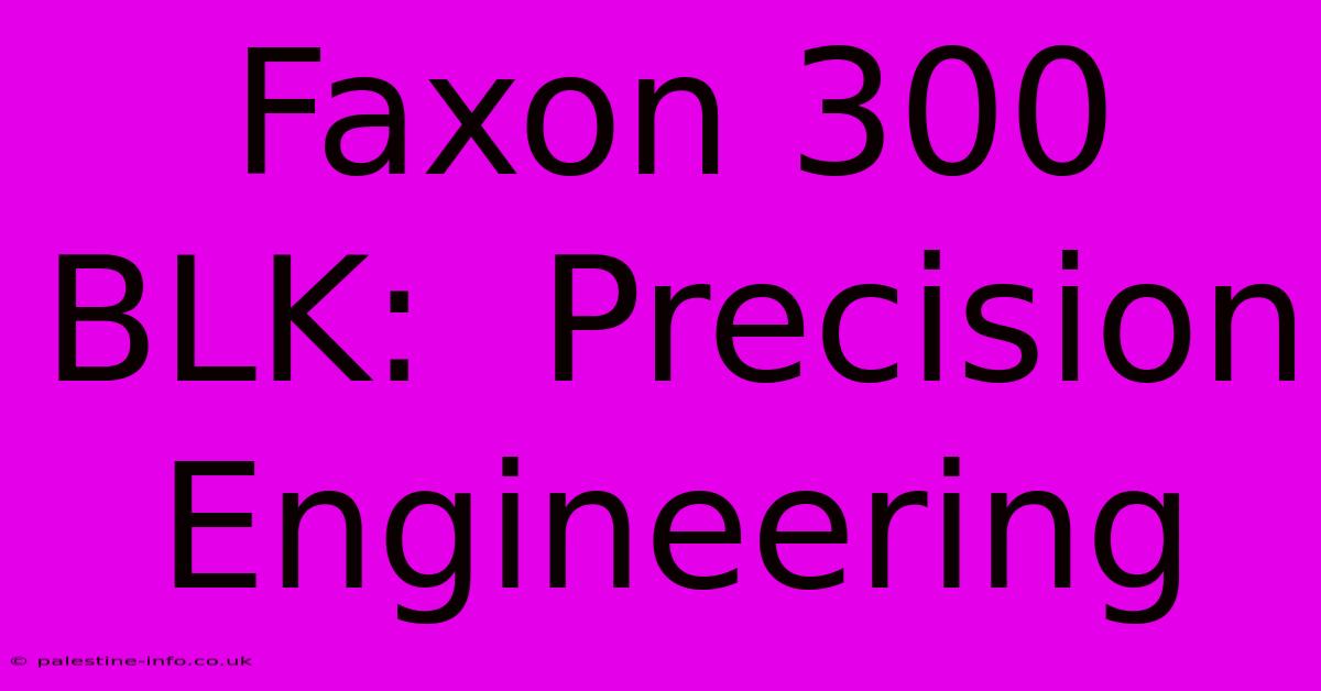 Faxon 300 BLK:  Precision Engineering