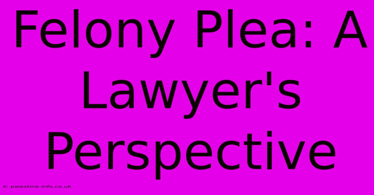 Felony Plea: A Lawyer's Perspective