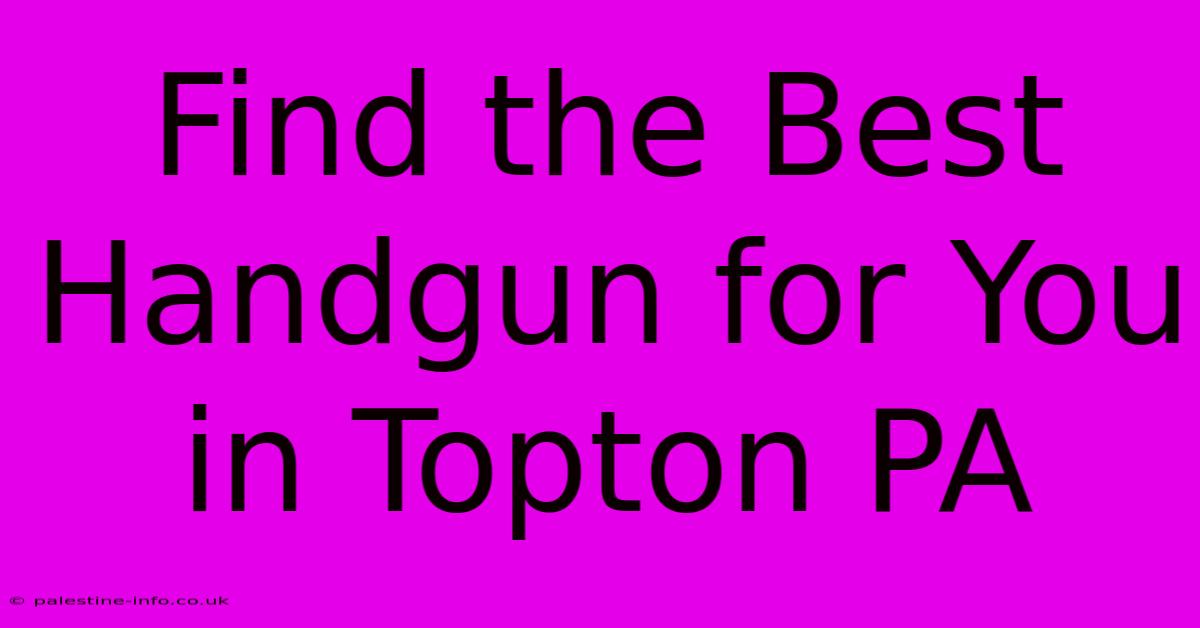 Find The Best Handgun For You In Topton PA