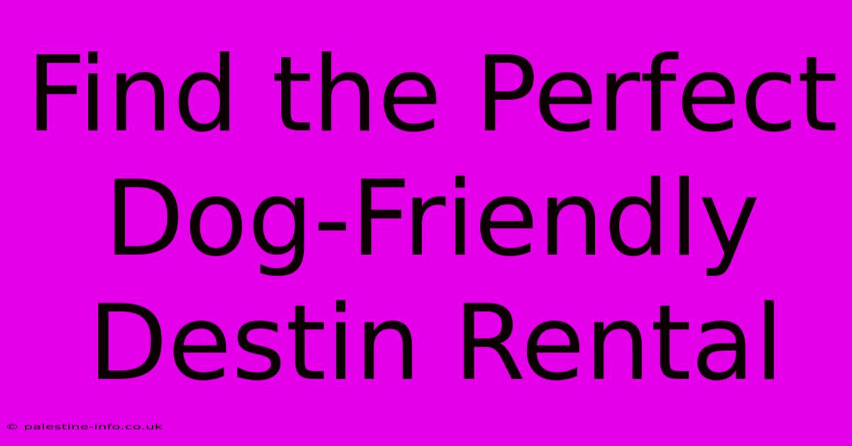 Find The Perfect Dog-Friendly Destin Rental