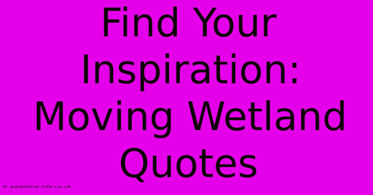 Find Your Inspiration:  Moving Wetland Quotes