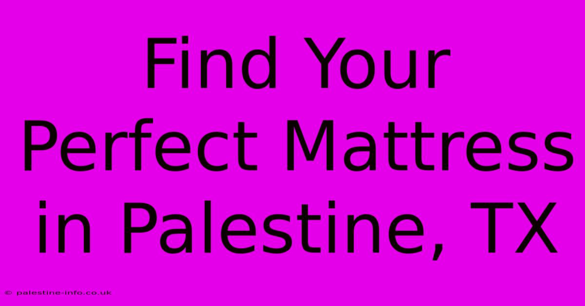 Find Your Perfect Mattress In Palestine, TX