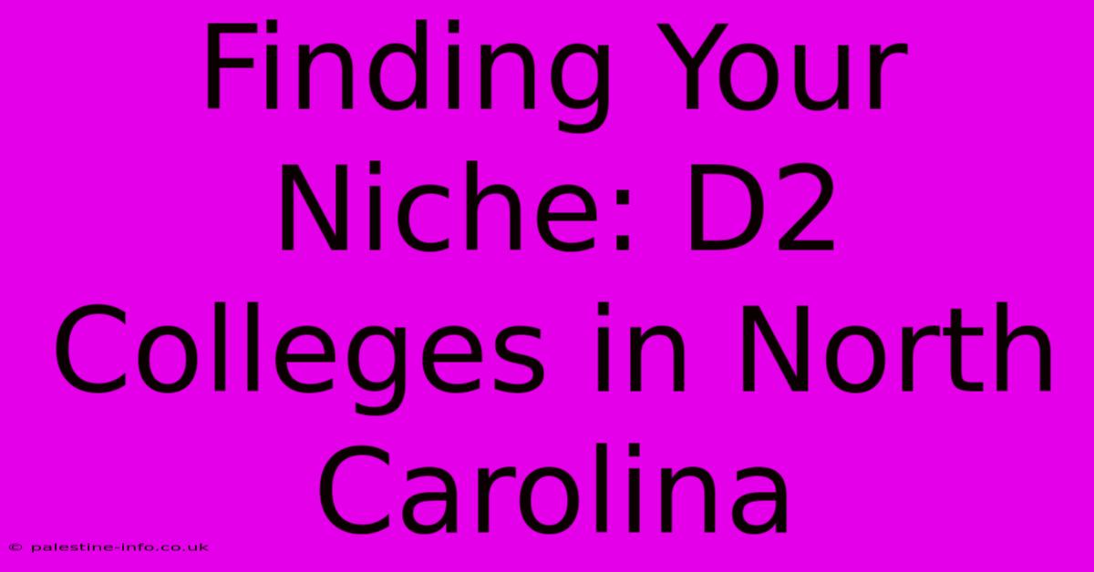 Finding Your Niche: D2 Colleges In North Carolina