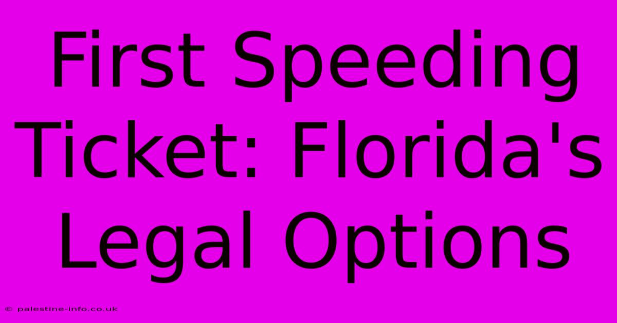 First Speeding Ticket: Florida's Legal Options