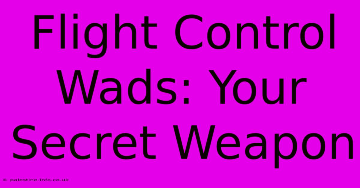 Flight Control Wads: Your Secret Weapon