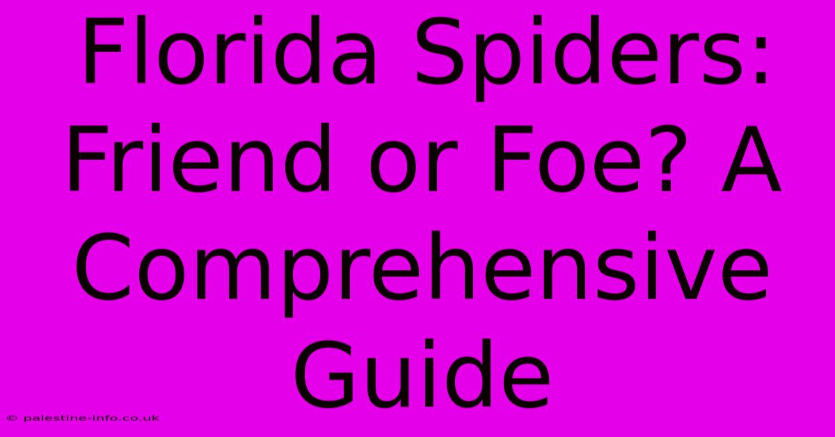 Florida Spiders: Friend Or Foe? A Comprehensive Guide