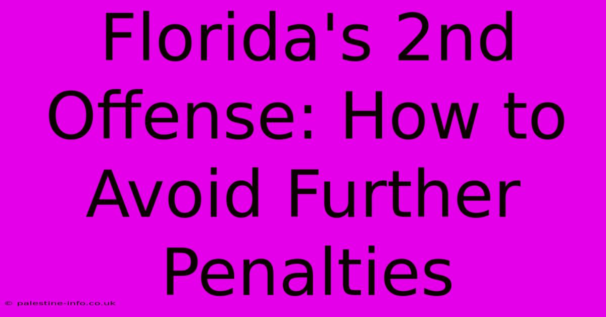 Florida's 2nd Offense: How To Avoid Further Penalties