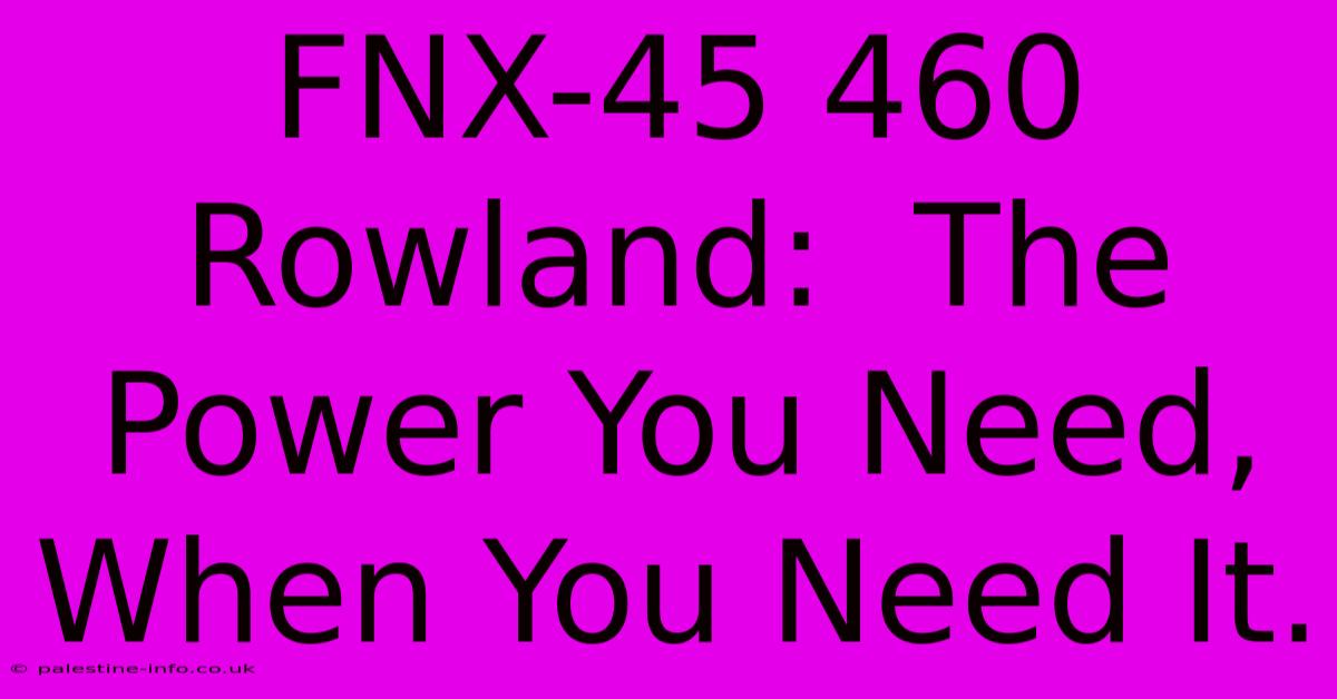 FNX-45 460 Rowland:  The Power You Need, When You Need It.