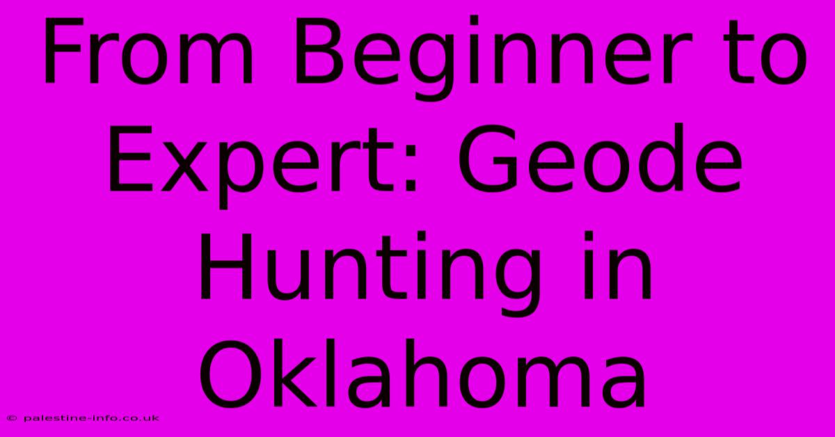 From Beginner To Expert: Geode Hunting In Oklahoma