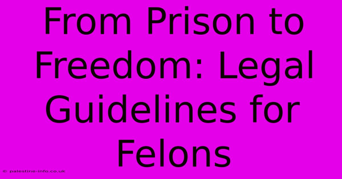 From Prison To Freedom: Legal Guidelines For Felons