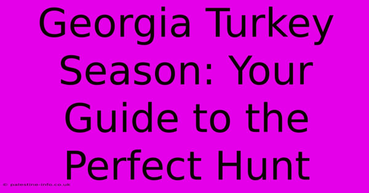 Georgia Turkey Season: Your Guide To The Perfect Hunt