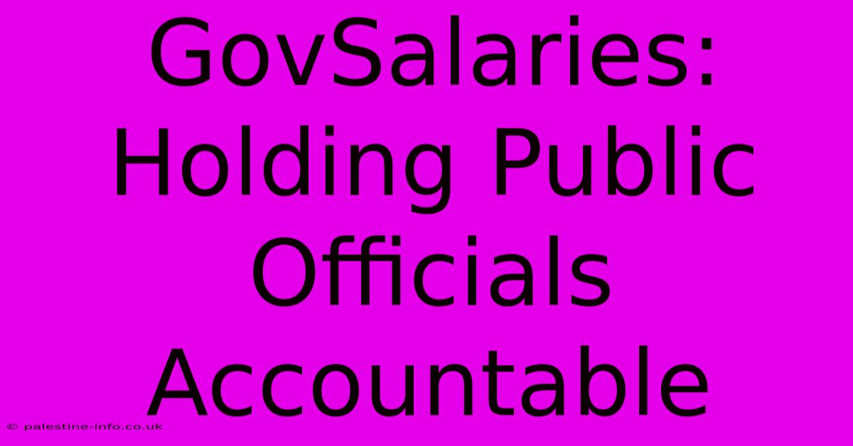 GovSalaries:  Holding Public Officials Accountable