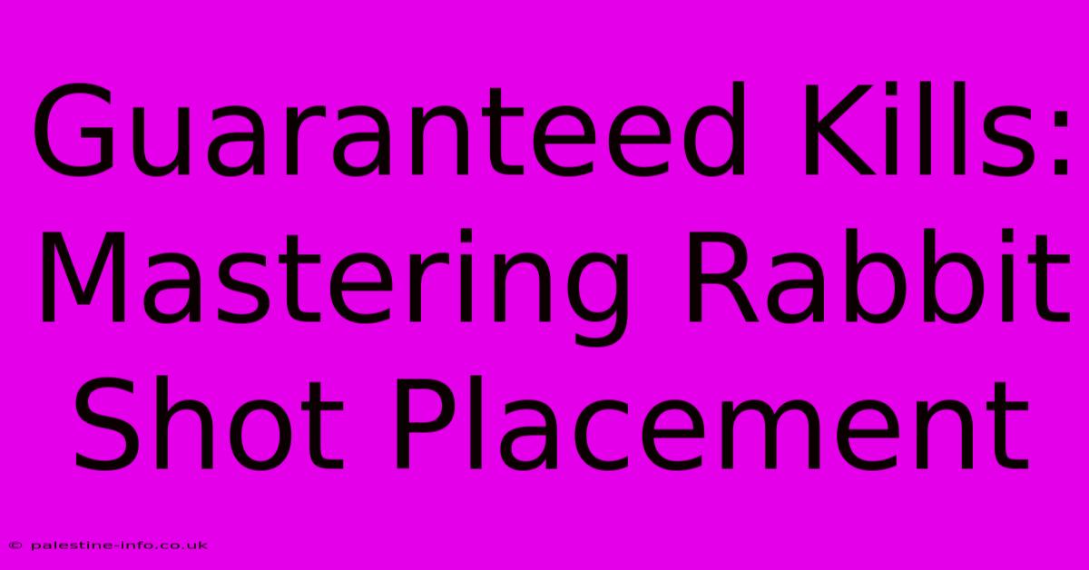 Guaranteed Kills:  Mastering Rabbit Shot Placement