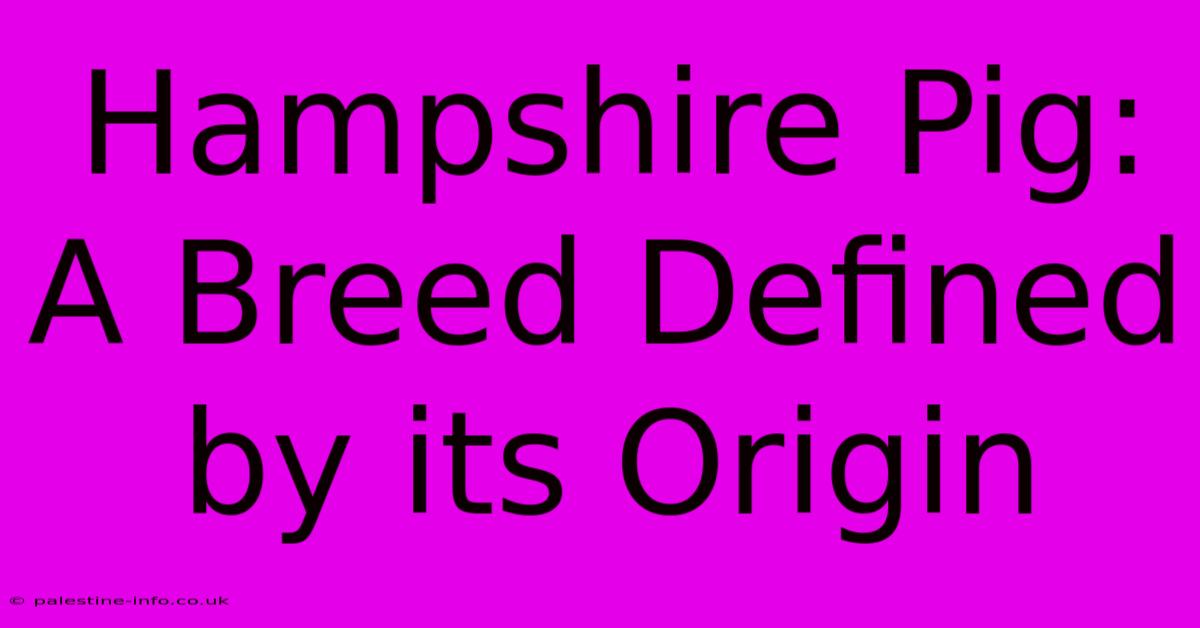 Hampshire Pig: A Breed Defined By Its Origin