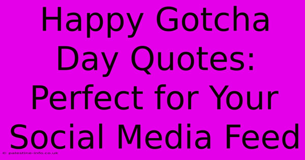 Happy Gotcha Day Quotes: Perfect For Your Social Media Feed