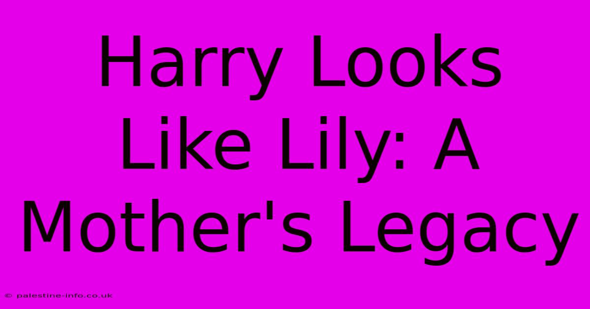 Harry Looks Like Lily: A Mother's Legacy