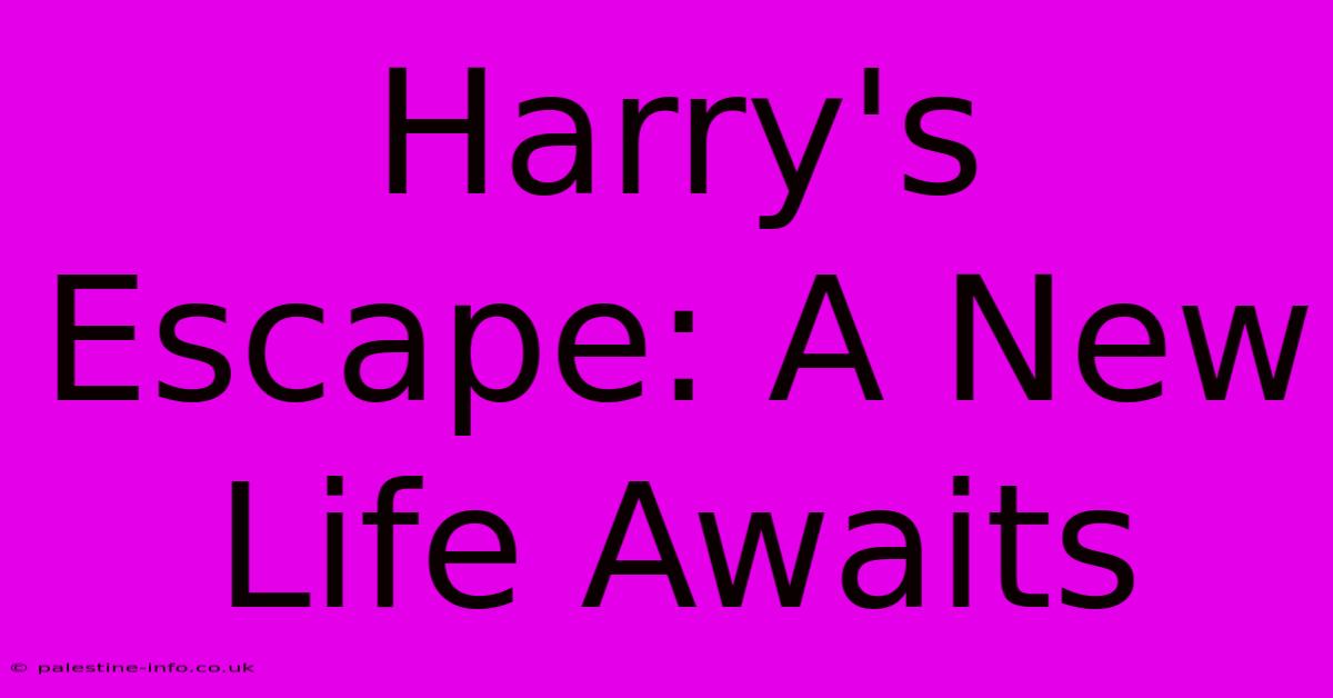 Harry's Escape: A New Life Awaits