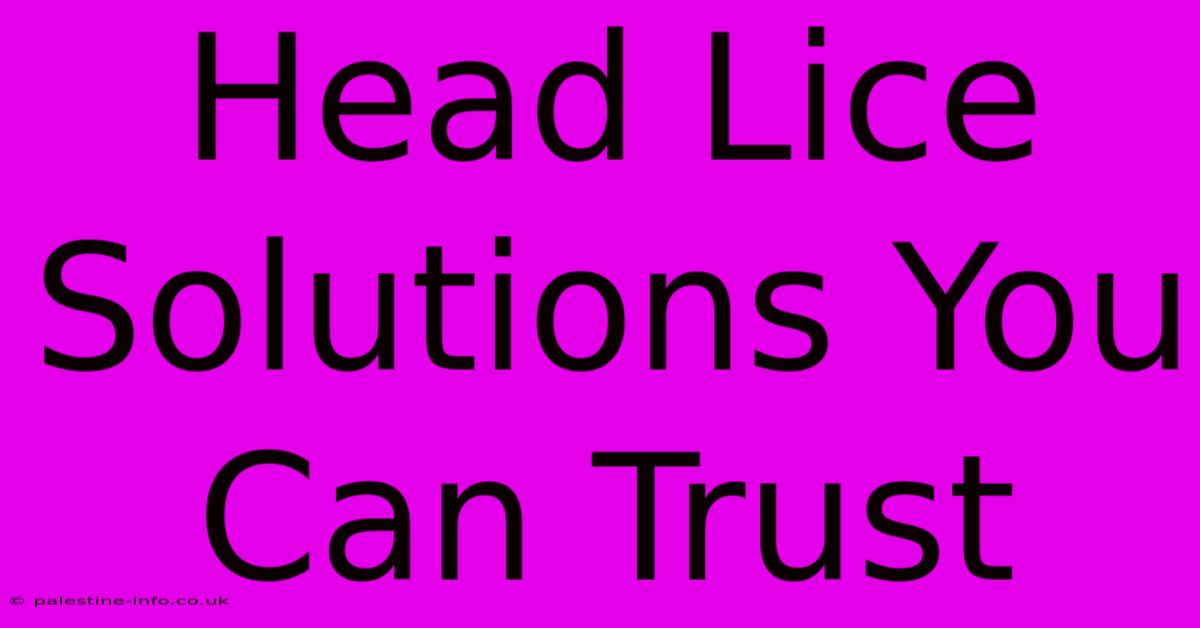 Head Lice Solutions You Can Trust