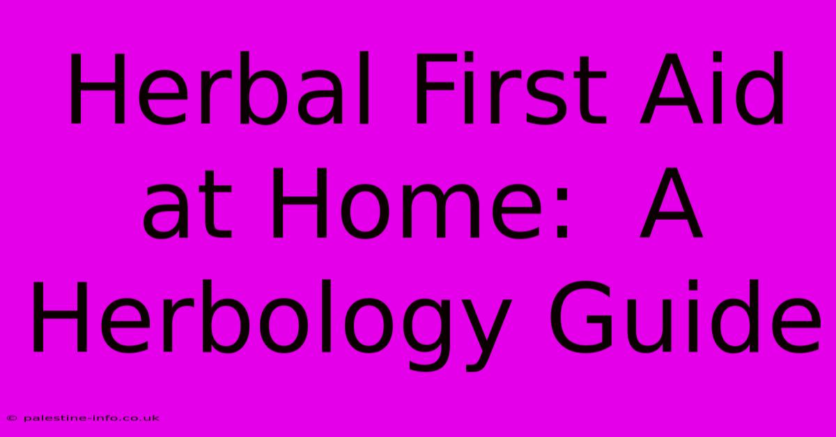 Herbal First Aid At Home:  A Herbology Guide