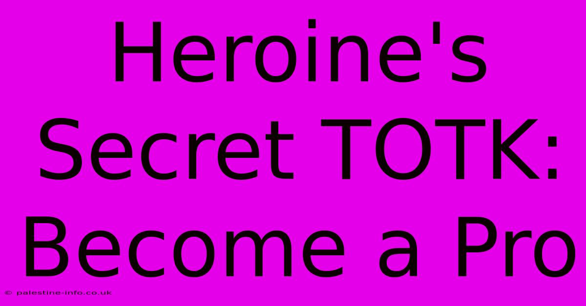 Heroine's Secret TOTK: Become A Pro