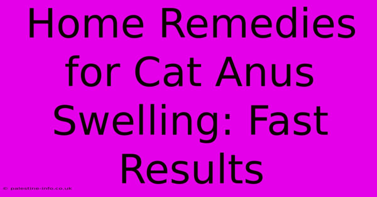 Home Remedies For Cat Anus Swelling: Fast Results