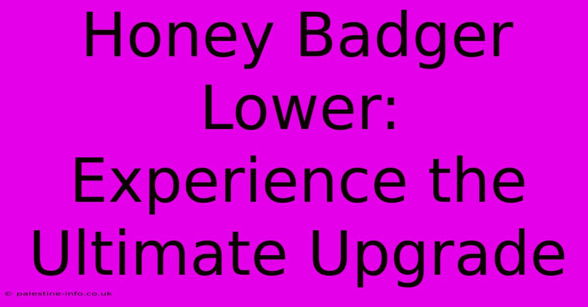 Honey Badger Lower:  Experience The Ultimate Upgrade