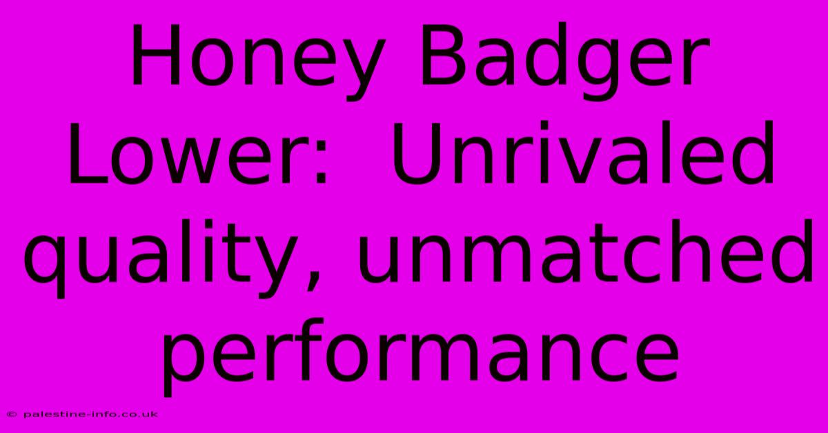 Honey Badger Lower:  Unrivaled Quality, Unmatched Performance