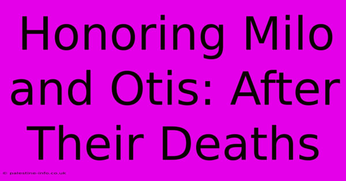 Honoring Milo And Otis: After Their Deaths