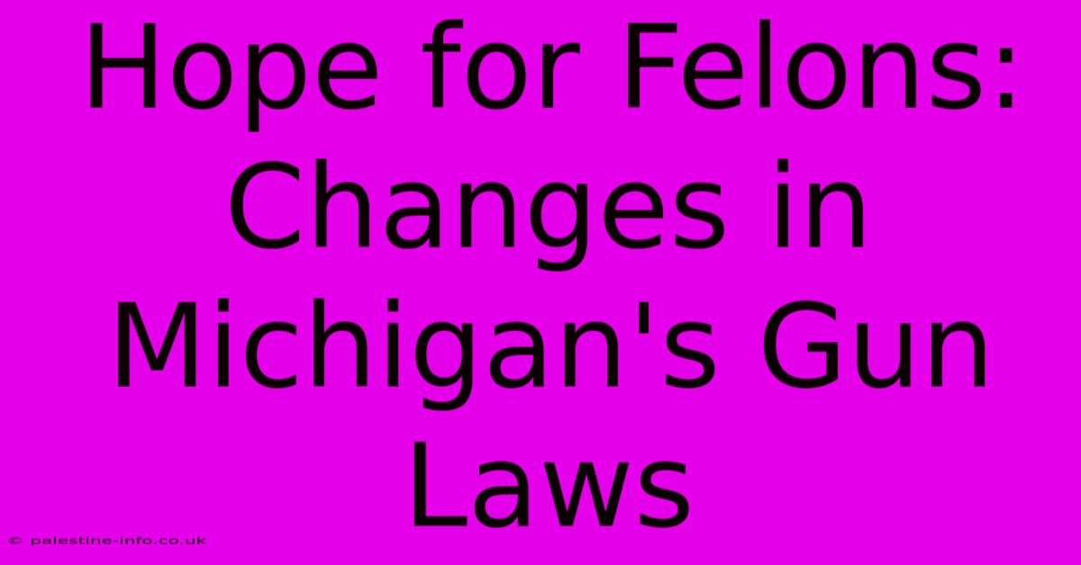 Hope For Felons: Changes In Michigan's Gun Laws