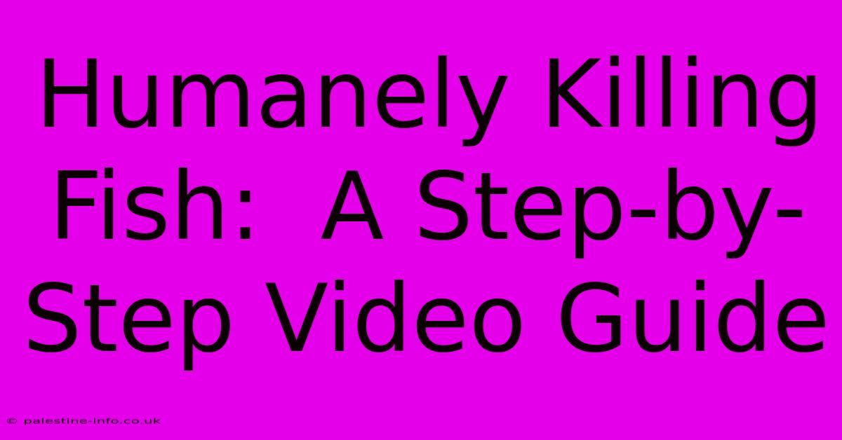 Humanely Killing Fish:  A Step-by-Step Video Guide