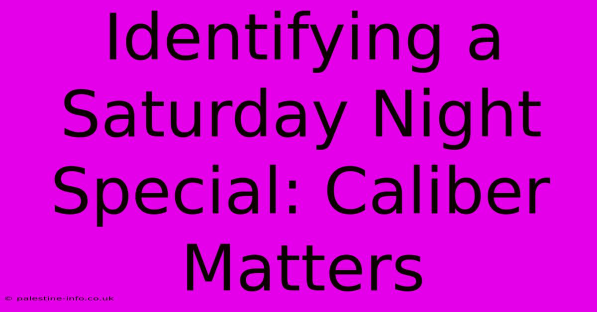 Identifying A Saturday Night Special: Caliber Matters