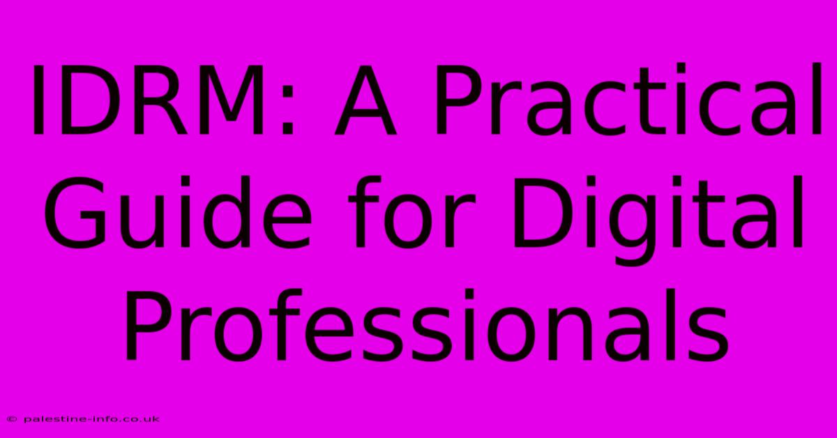 IDRM: A Practical Guide For Digital Professionals