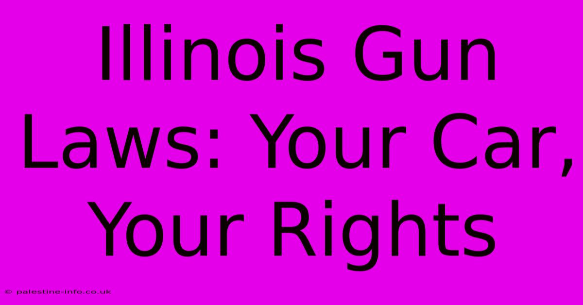 Illinois Gun Laws: Your Car, Your Rights