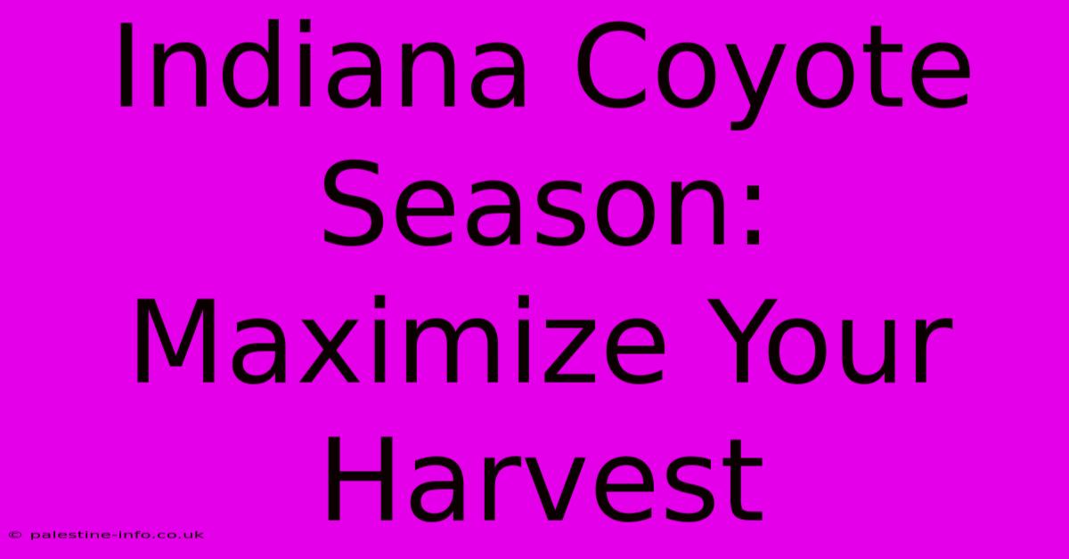 Indiana Coyote Season: Maximize Your Harvest