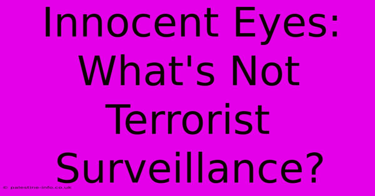 Innocent Eyes: What's Not Terrorist Surveillance?