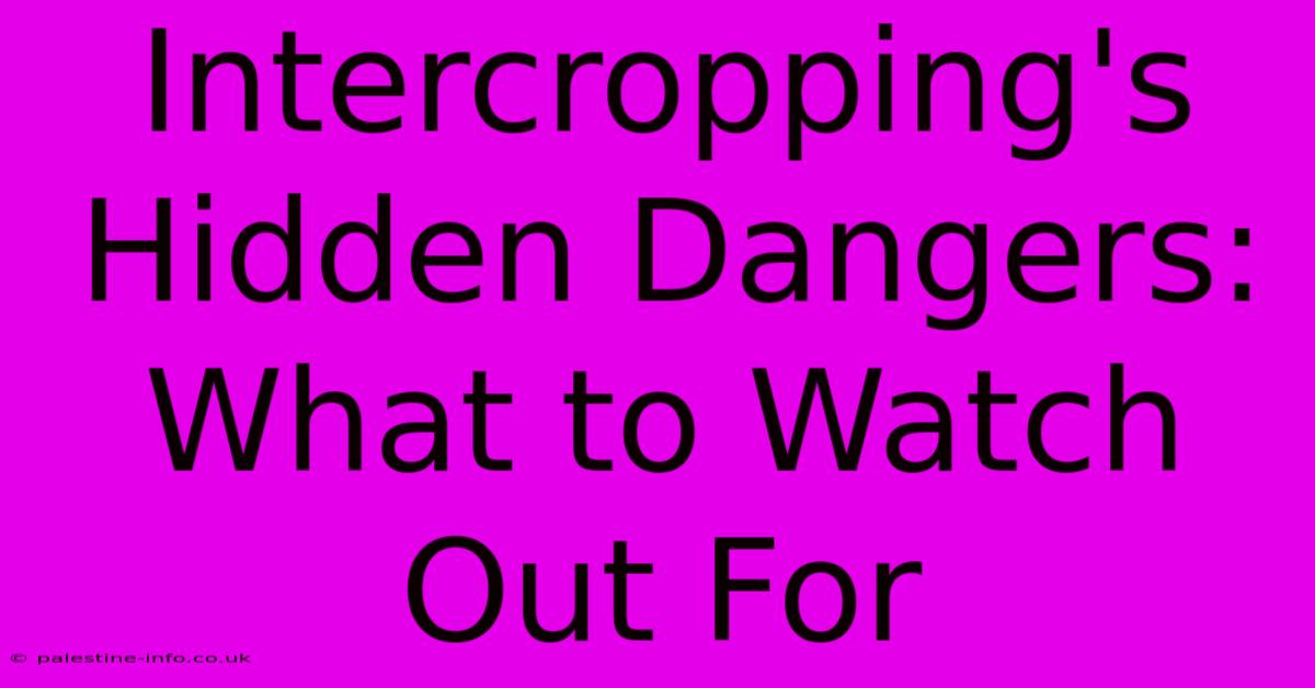 Intercropping's Hidden Dangers: What To Watch Out For