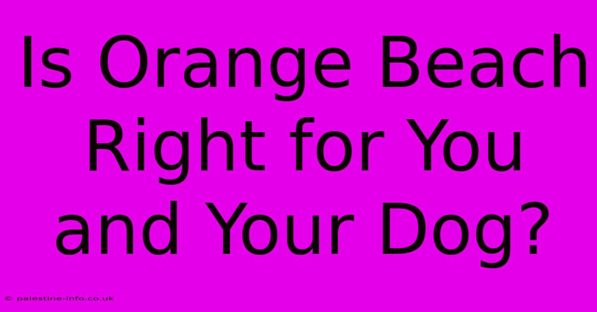 Is Orange Beach Right For You And Your Dog?