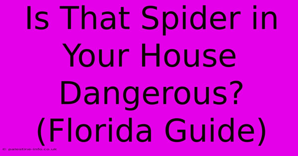 Is That Spider In Your House Dangerous? (Florida Guide)