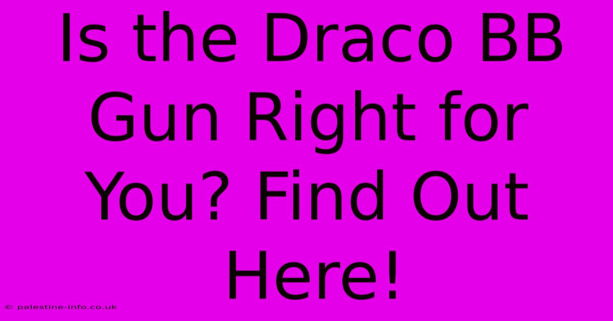 Is The Draco BB Gun Right For You? Find Out Here!