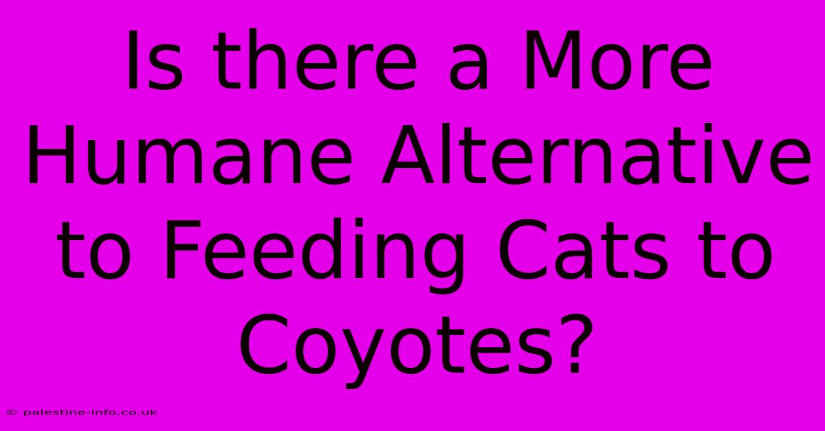 Is There A More Humane Alternative To Feeding Cats To Coyotes?