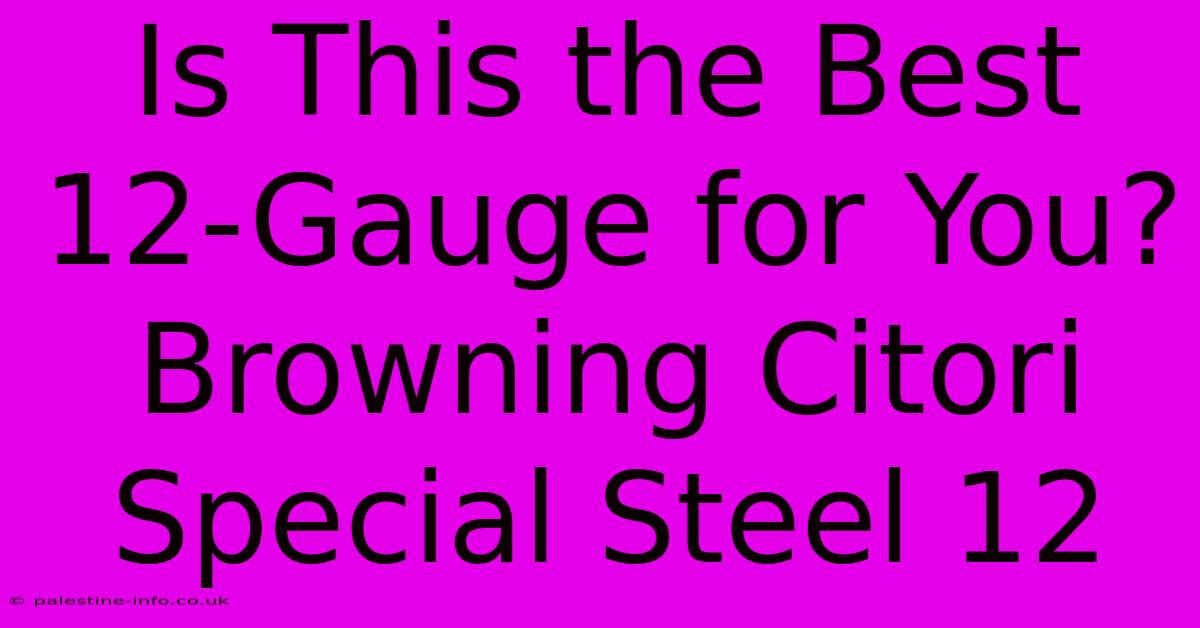 Is This The Best 12-Gauge For You? Browning Citori Special Steel 12