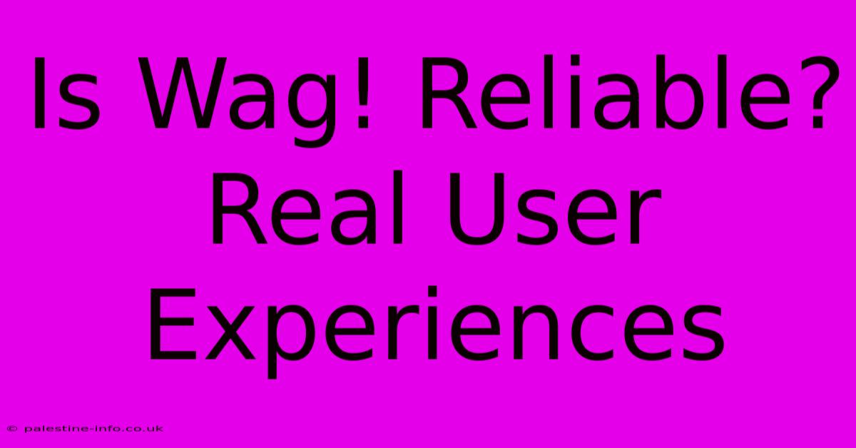 Is Wag! Reliable? Real User Experiences