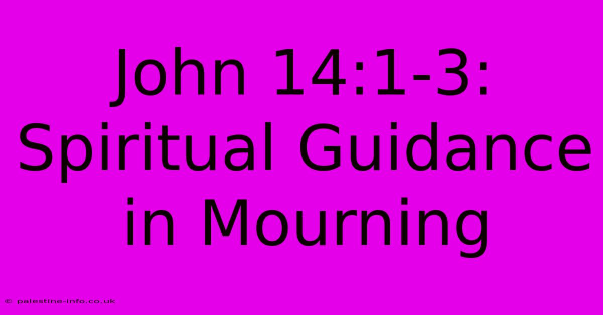 John 14:1-3:  Spiritual Guidance In Mourning