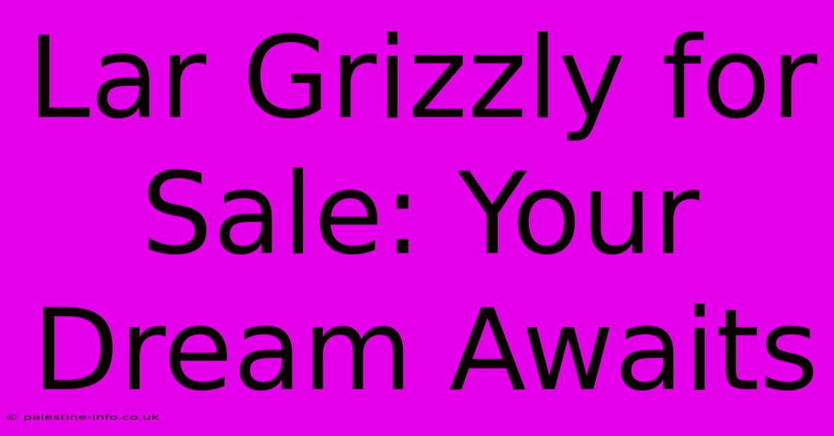 Lar Grizzly For Sale: Your Dream Awaits