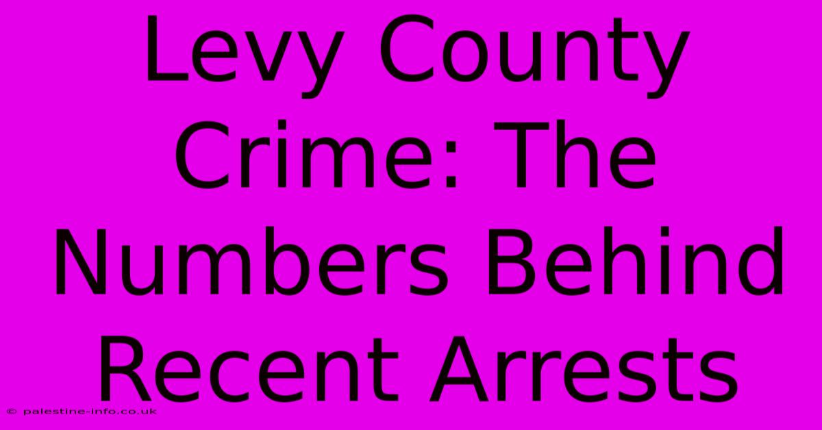 Levy County Crime: The Numbers Behind Recent Arrests