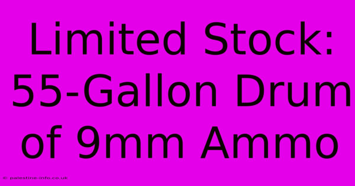 Limited Stock: 55-Gallon Drum Of 9mm Ammo