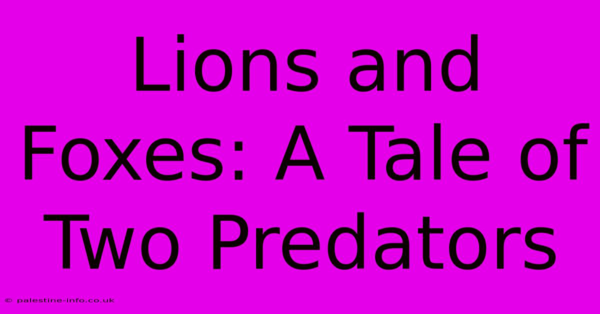 Lions And Foxes: A Tale Of Two Predators