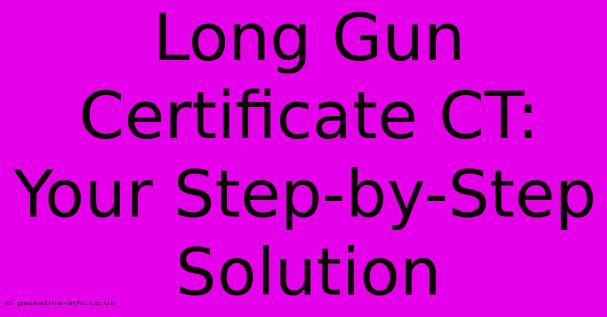 Long Gun Certificate CT:  Your Step-by-Step Solution